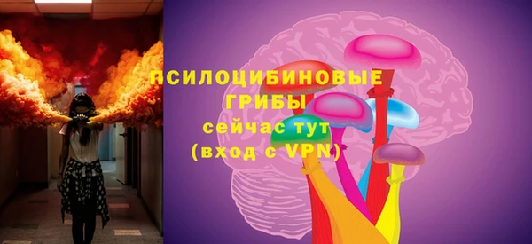spice Пестово