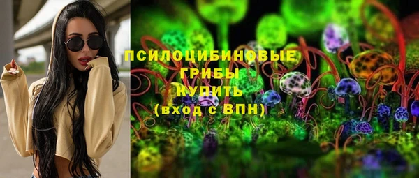 spice Пестово