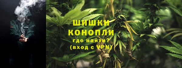 СК Осинники